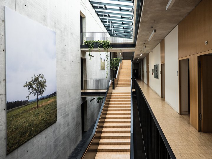 A wooden staircase with black handrail and tree painting in front of room