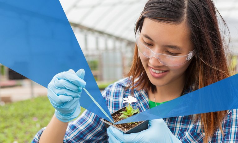 Asian female student working on botany. She is at a lab wearing saftey glasses, gloves, and a blue plaid shirt.