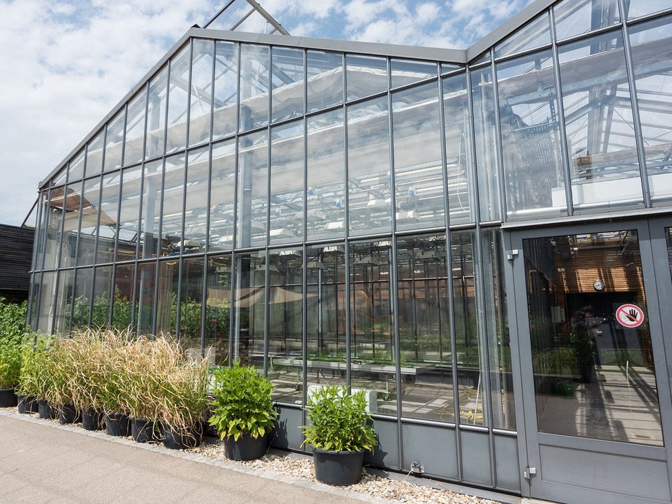 A glass building with tiny plant pots in front of it