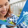 Asian female student working on botany. She is at a lab wearing saftey glasses, gloves, and a blue plaid shirt.
