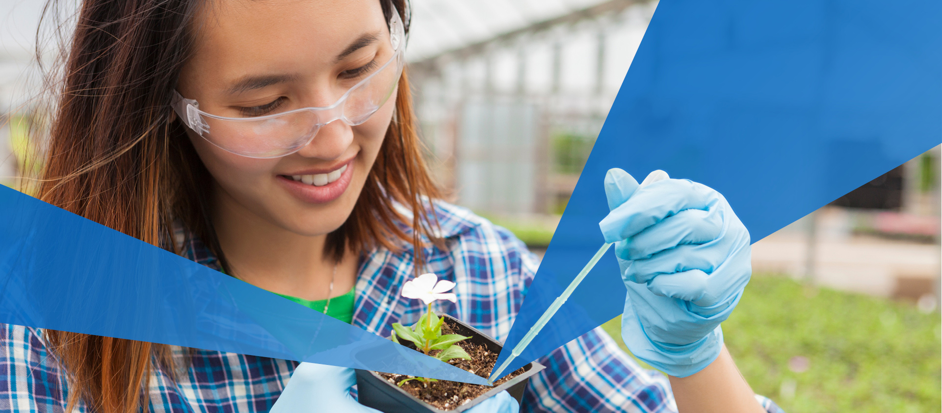 Asian female student working on botany. She is at a lab wearing saftey glasses, gloves, and a blue plaid shirt.