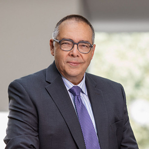 Prof. Dr. Helmut Krcmar